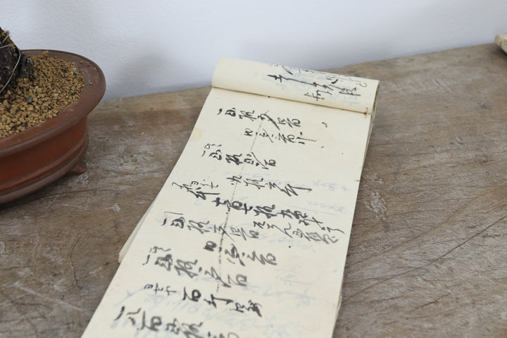 Vintage Asian Record Book