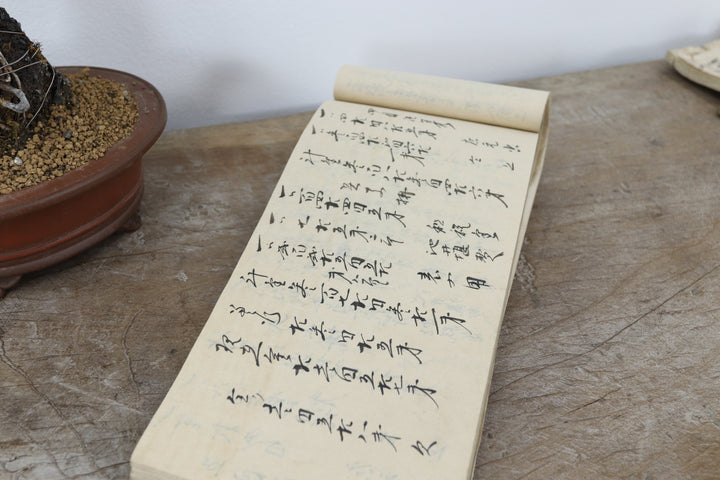 Vintage Asian Record Book