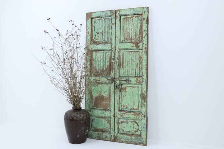 Vintage painted teak 19th century teak doors with carved details 
