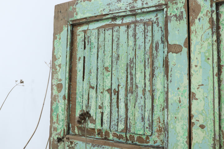 Vintage painted teak 19th century teak doors with carved details 
