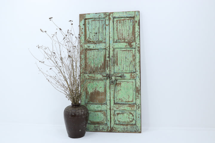 Vintage painted teak 19th century teak doors with carved details 
