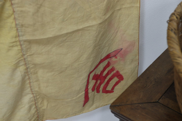 Antique Asian Multicoloured Textile 