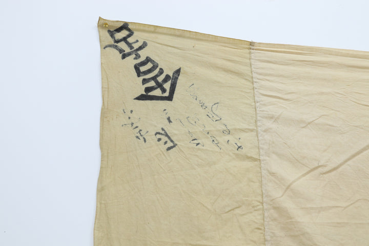 Antique Asian Multicoloured Textile 