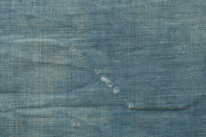 Antique Navy Hand Illustrated Bird Textile