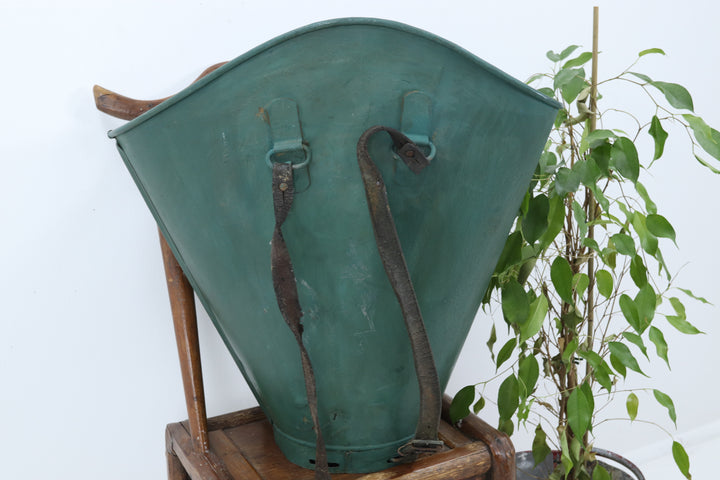 Antique Large Bright European Grape Collector 