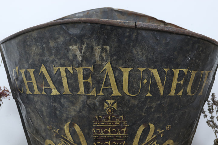 Antique Large Black European Grape Collector 