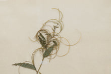 Load image into Gallery viewer, Vintage framed flower pressing book pages  