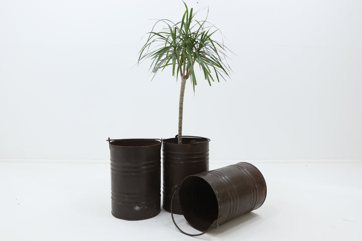 Vintage metal reclaimed planter 
